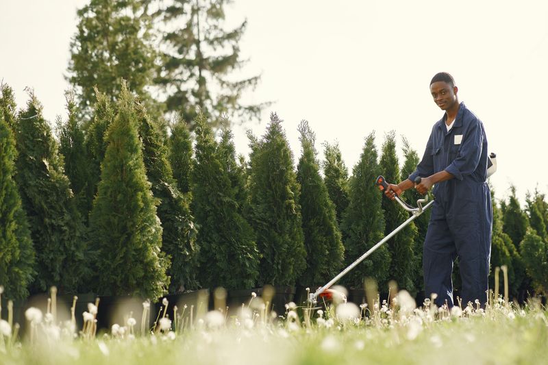 Gardener trimming a hedge in a Gauteng garden